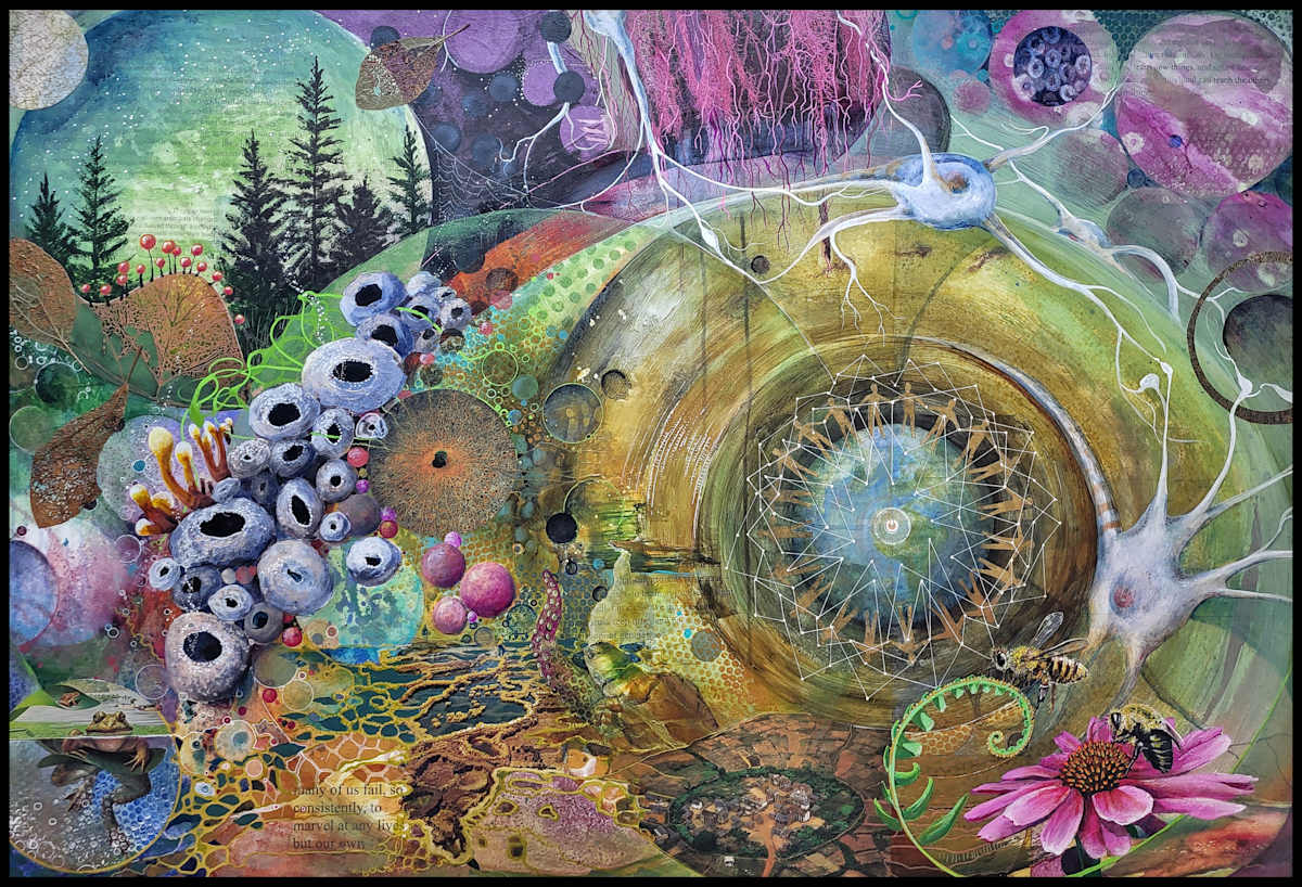 We Are All Connected by Debra Sue Solecki  Image: We Are All Connected