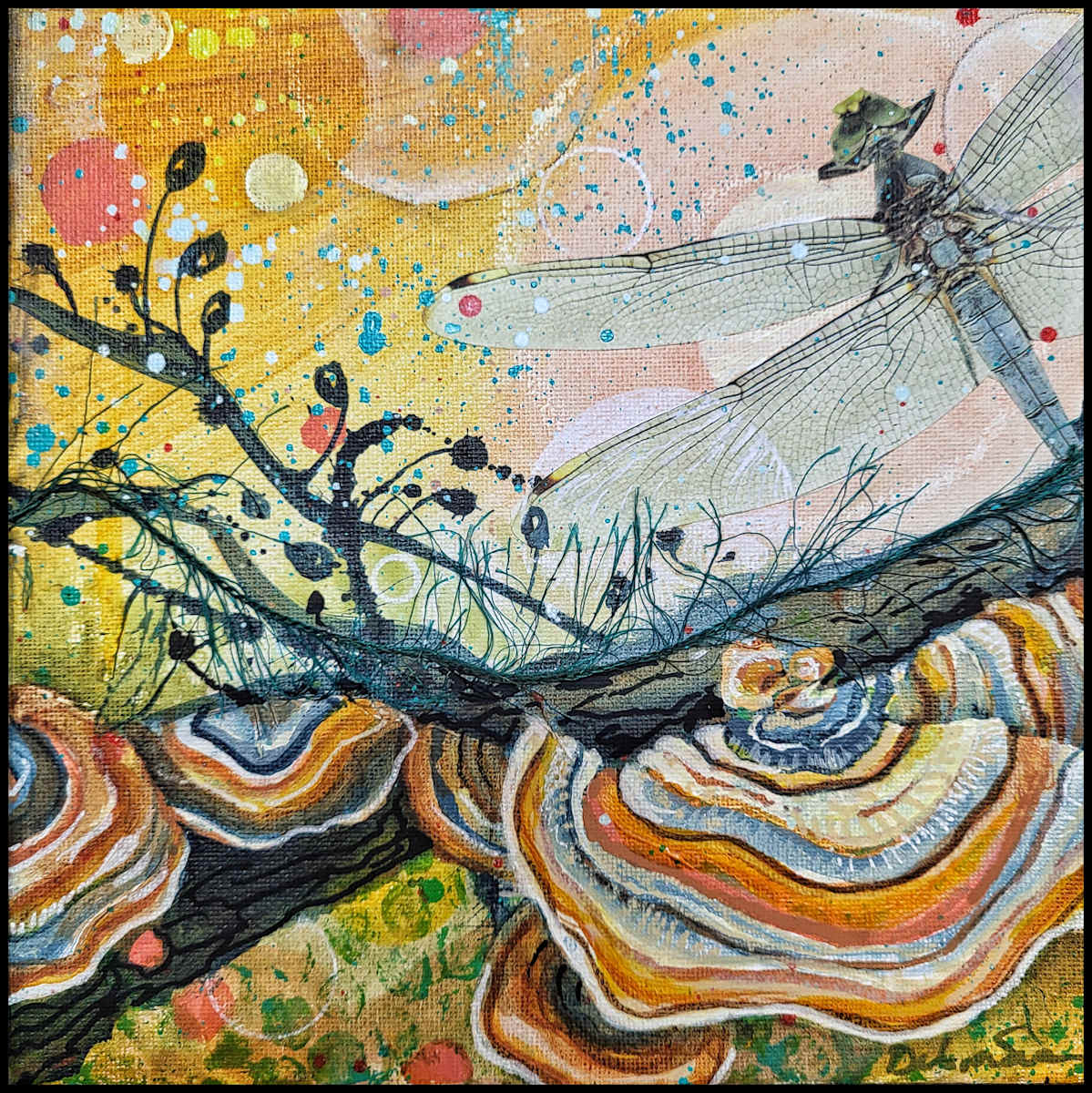 Turkey Tail by Debra Sue Solecki, Image 1.