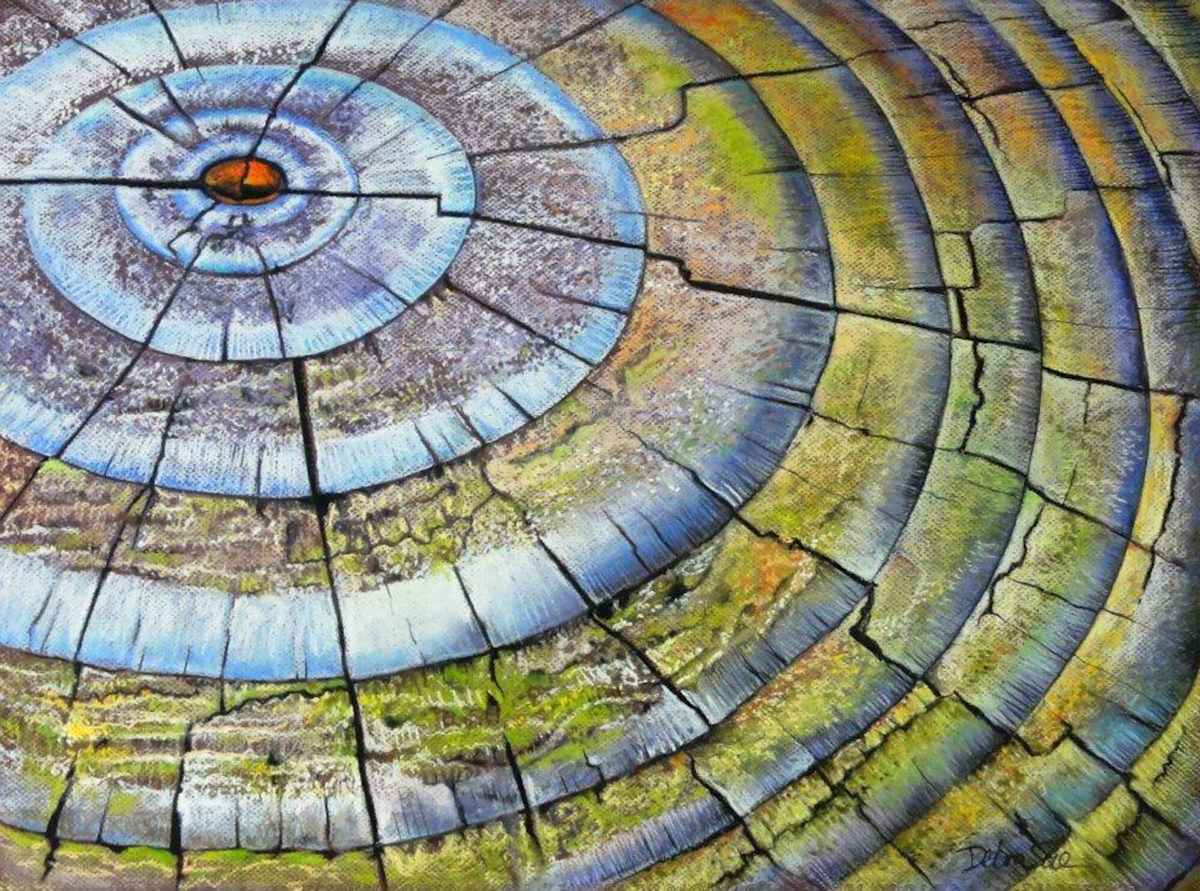 Rings of Life by Debra Sue Solecki  Image: Rings of Life - Chalk pastel