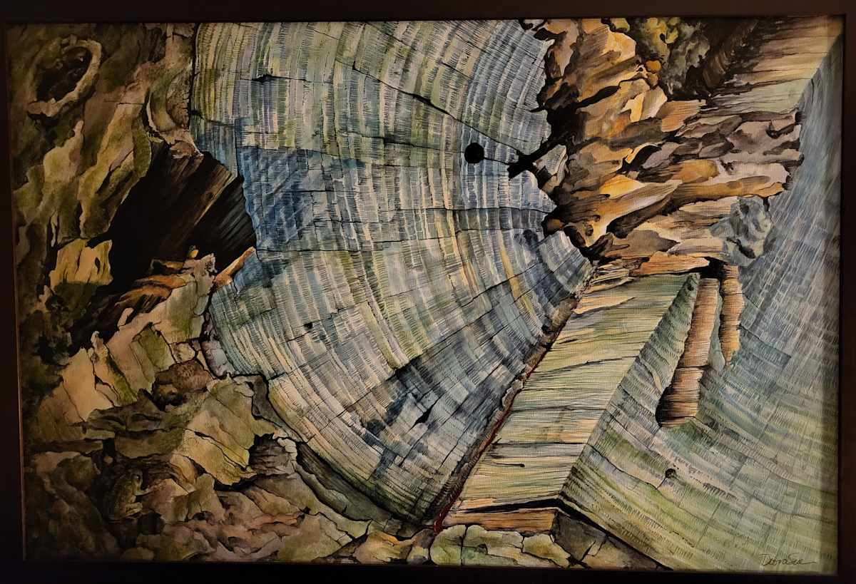 Homeless by Debra Sue Solecki  Image: Homeless