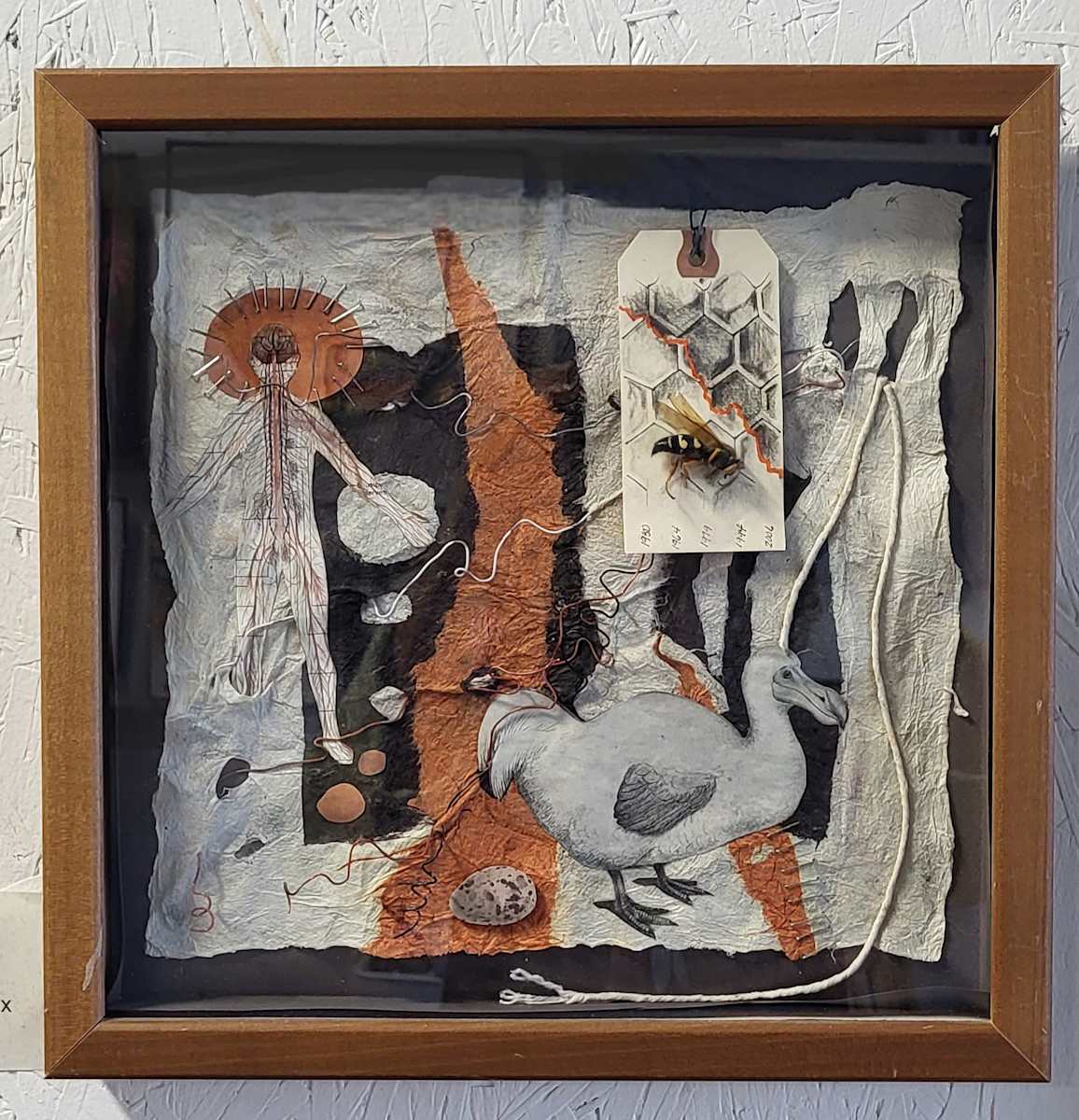 Extinction by Debra Sue Solecki 