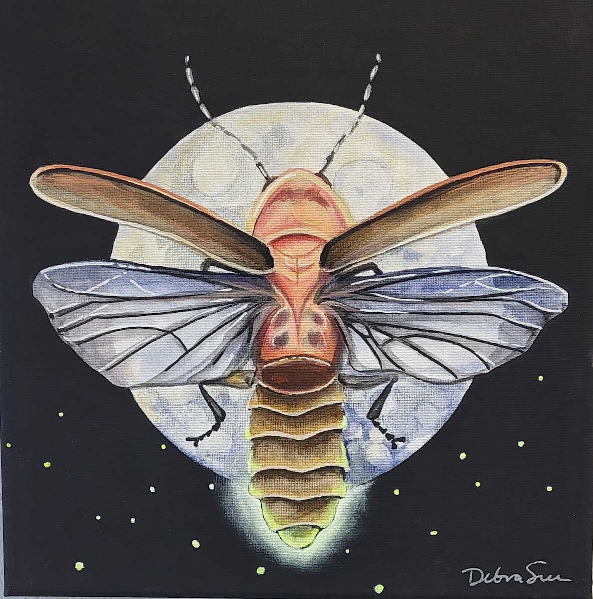 Lightening bug or Firefly? by Debra Sue Solecki 