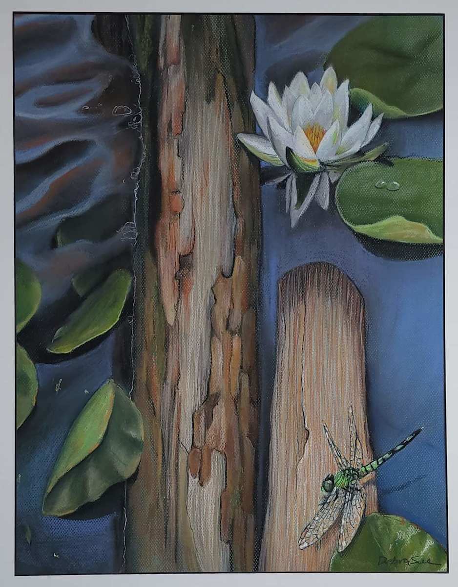 Paddle Partner by Debra Sue Solecki  Image: Paddle Partner
