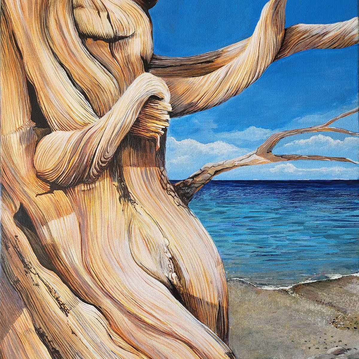 Driftwood Dance by Debra Sue Solecki  Image: Driftwood Dance - Acrylic on canvas