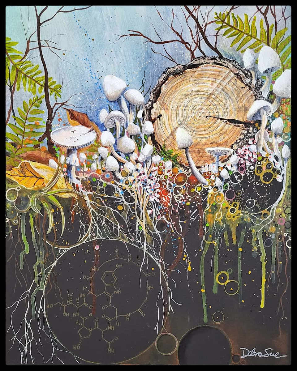 Destroying Angel (Amanita Virosa) by Debra Sue Solecki  Image: Destroying Angel (Amanita Virosa)