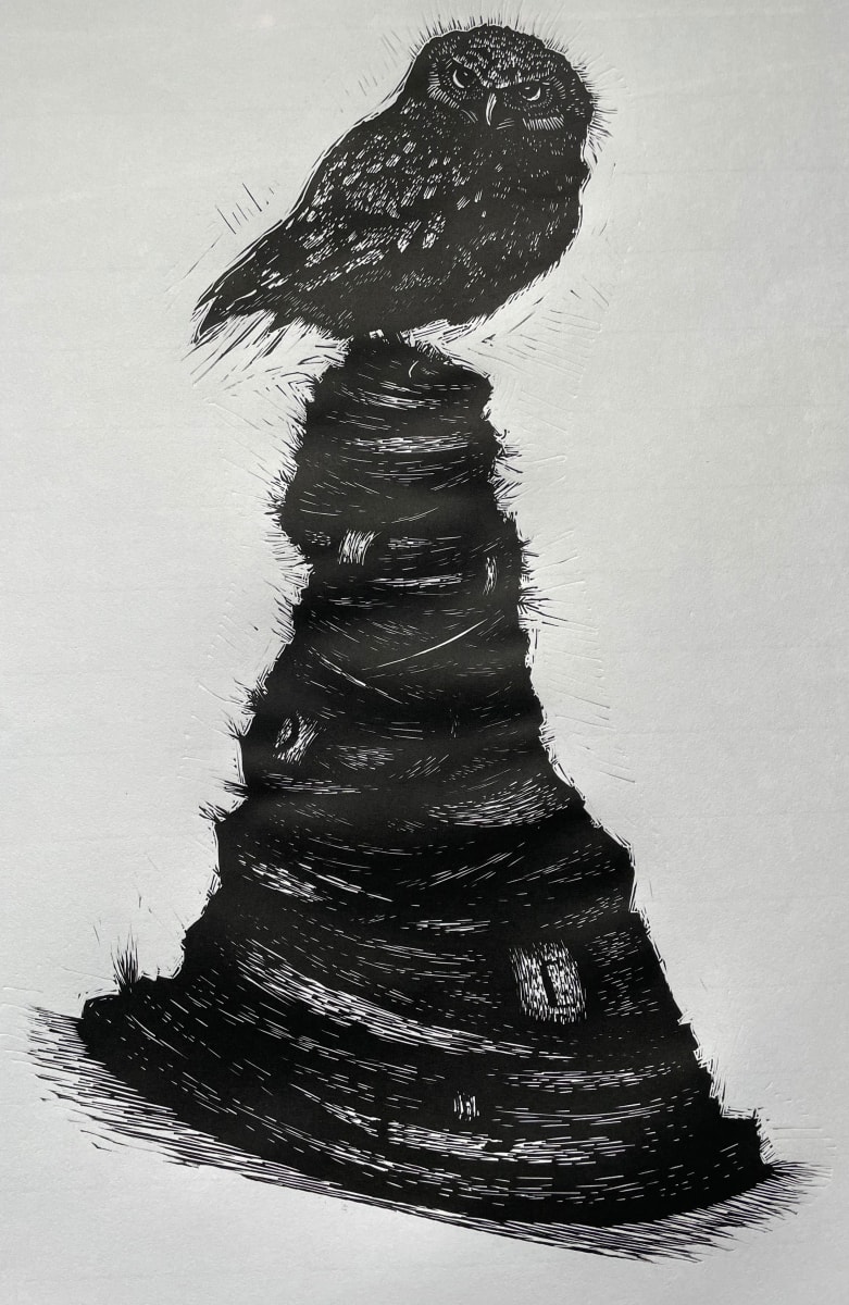 Owl by Brady Nichols 