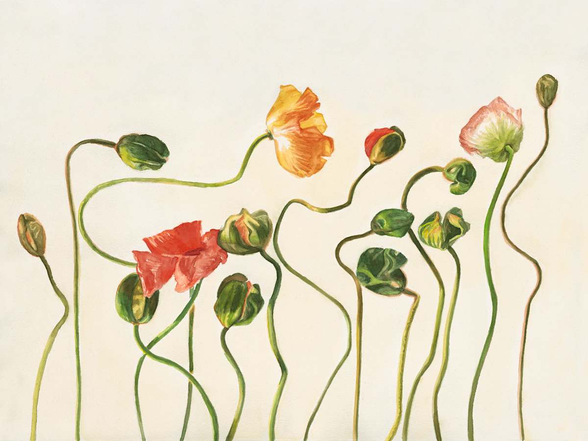 Peonies Print Medium by Julia Wolinsky, Image 1.