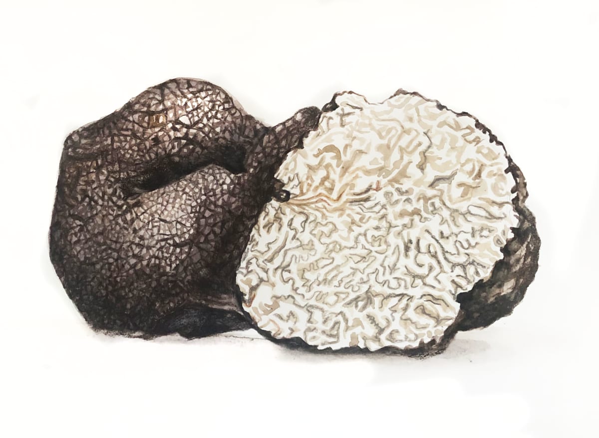 Black Truffle by Julia Wolinsky 