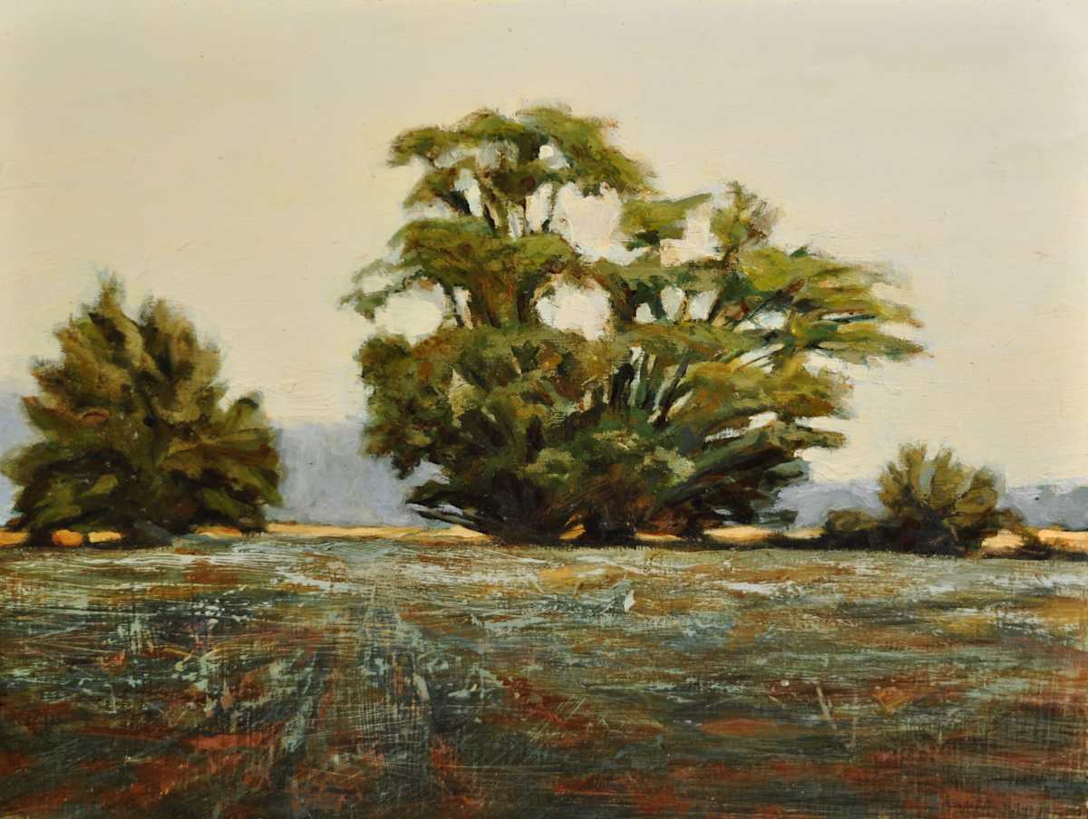 Ferndale #2 by Rosie Brouse Fine Art, Image 1.