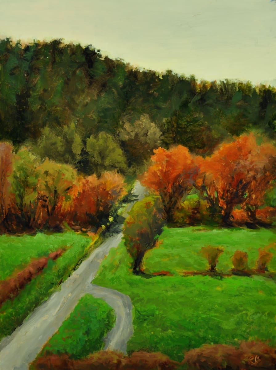 Obstruction Point Road by Rosie Brouse Fine Art 