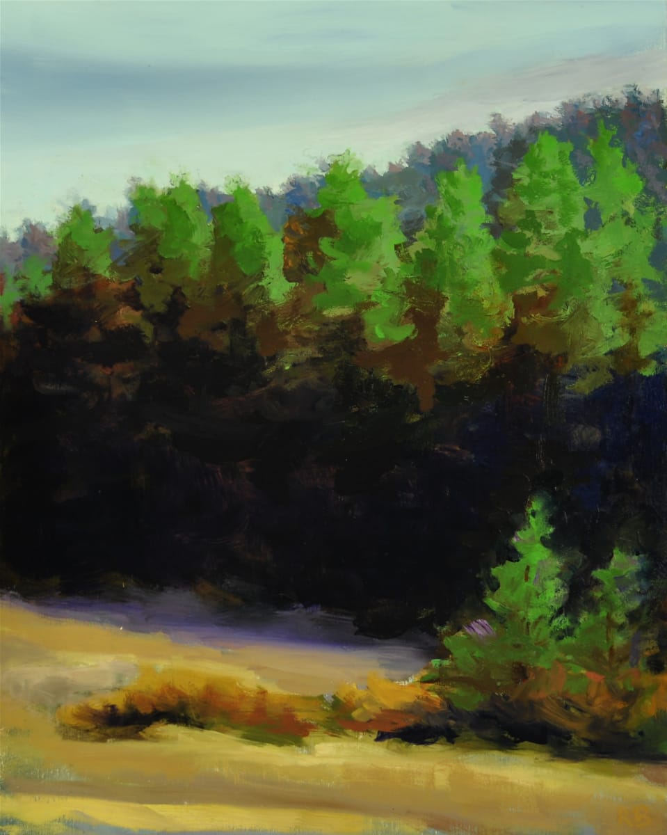 Twilight off Dill Road by Rosie Brouse Fine Art 