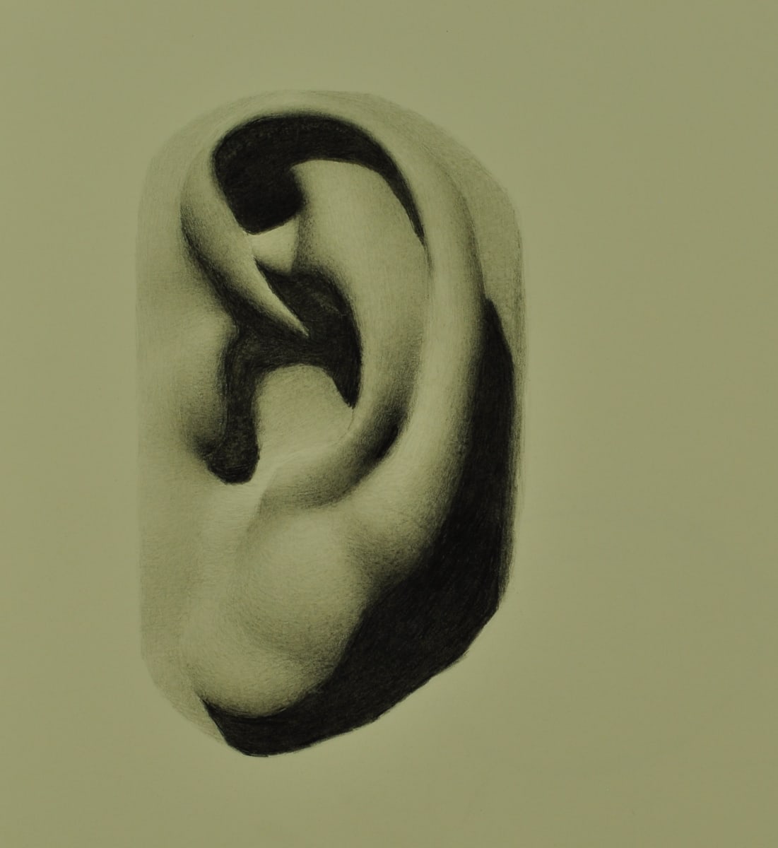 Michelangelo's Ear Study by Rosie Brouse Fine Art, Image 9.