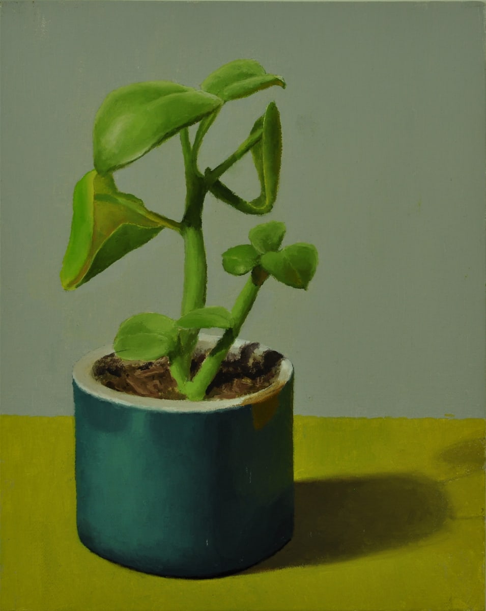 Bexx's Succulent by Rosie Brouse Fine Art 