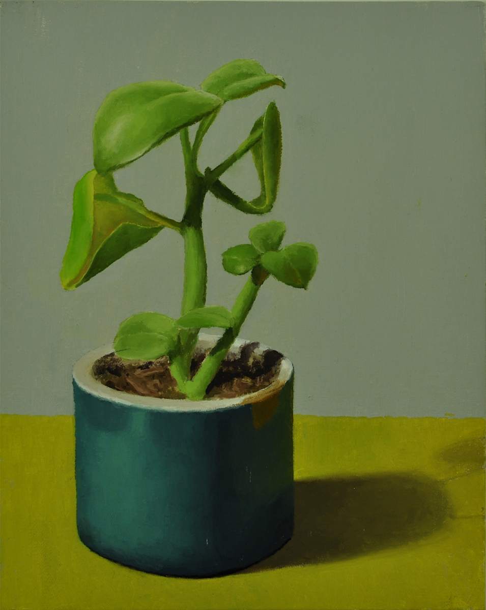 Bexx's Succulent by Rosie Brouse Fine Art, Image 4.