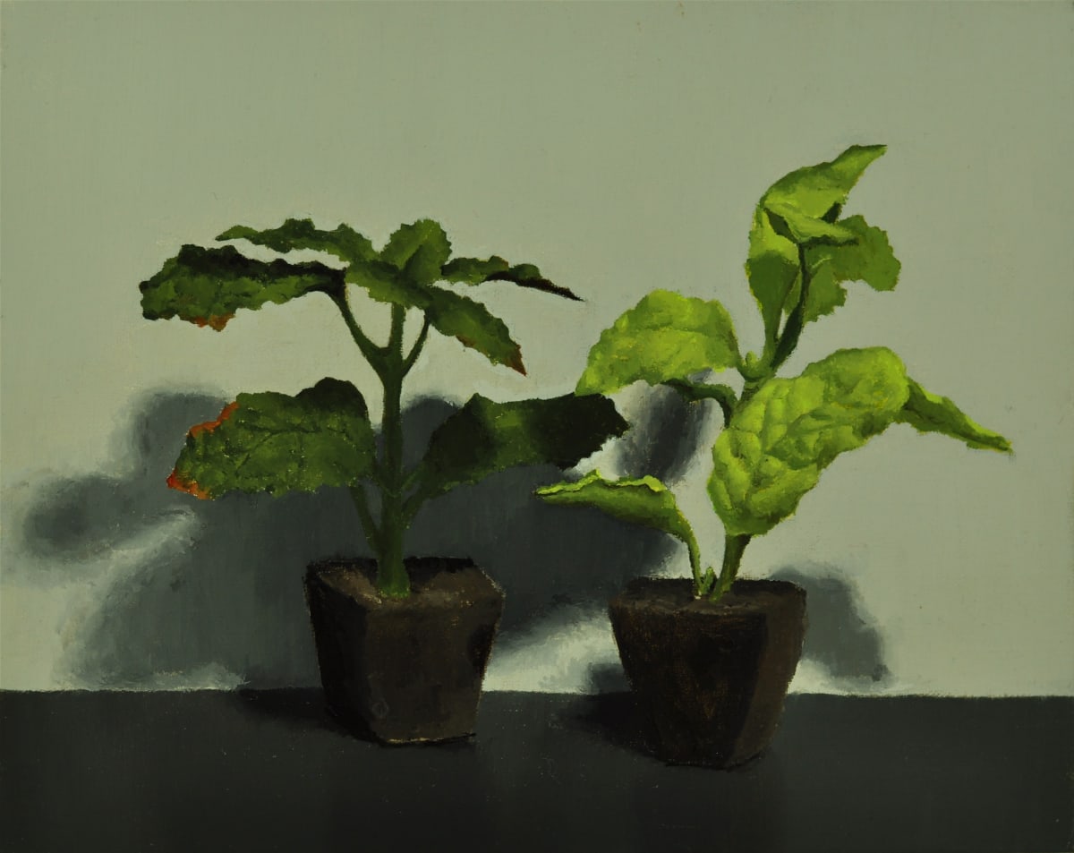 Mint plants Study by Rosie Brouse Fine Art 