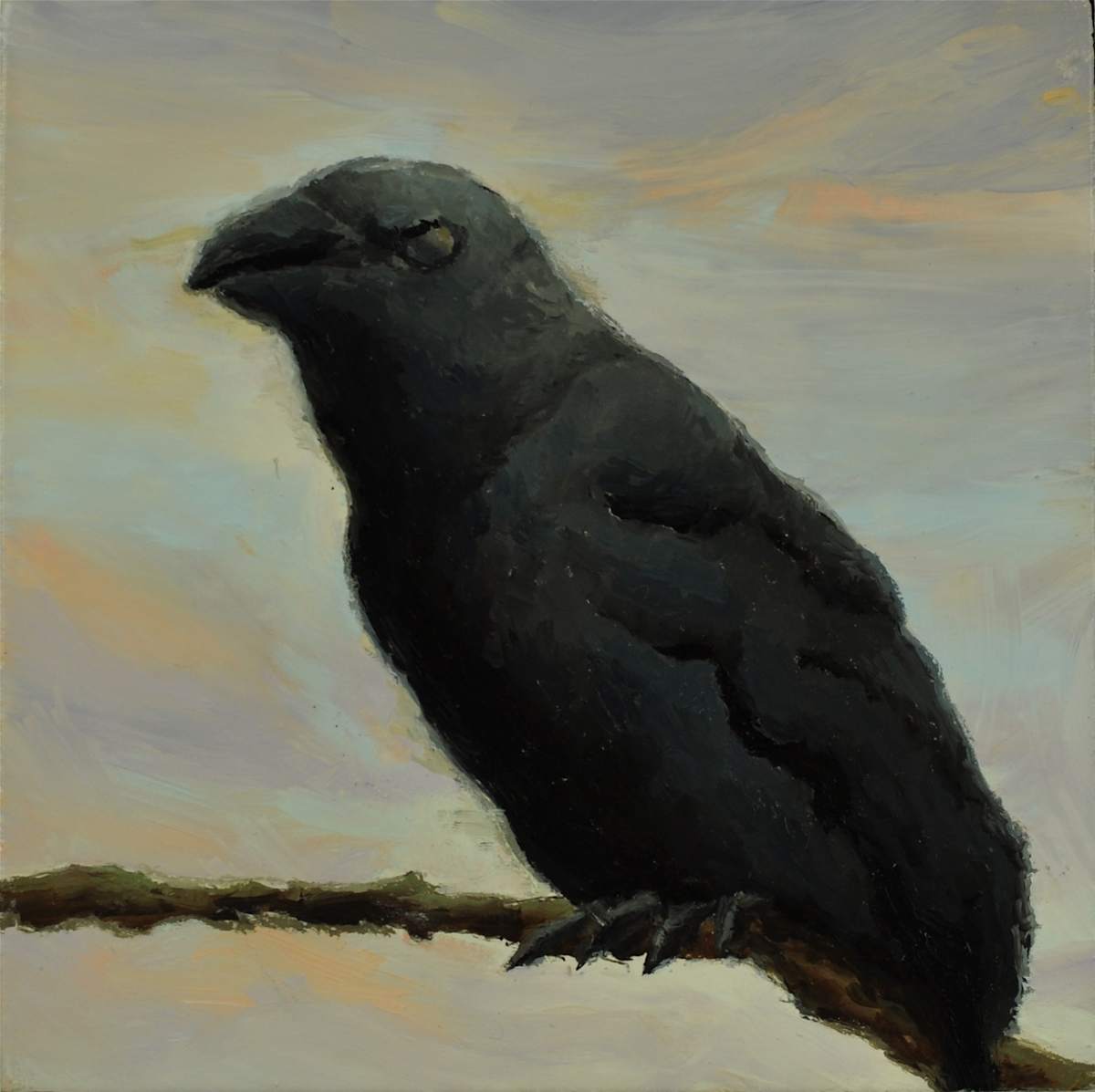 Crow 2 by Rosie Brouse Fine Art 