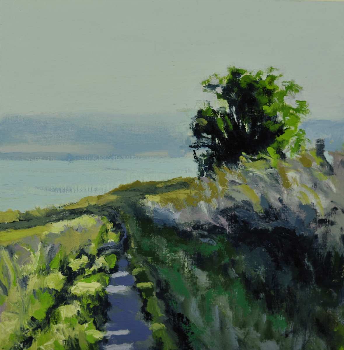 Coupeville Bluff Walk by Rosie Brouse Fine Art 