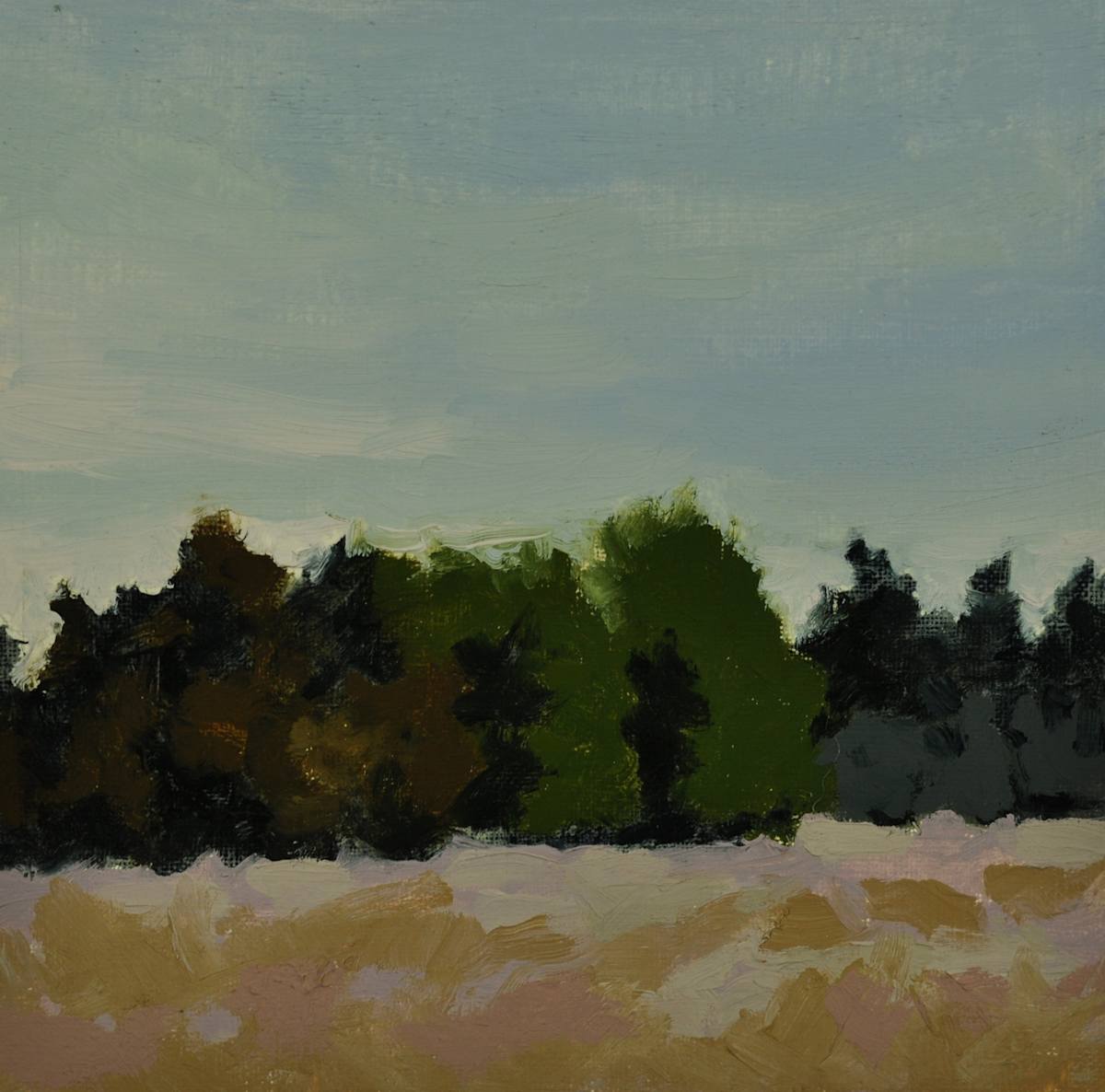 Evening Meadow on Lopez by Rosie Brouse Fine Art 