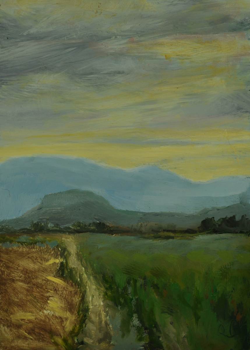 La Conner Fields Looking East by Rosie Brouse Fine Art 