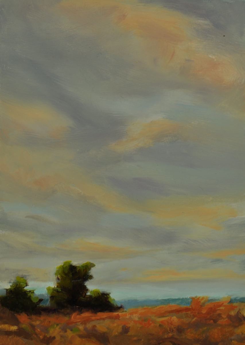 Swinomish Meadow under a Pink Sky by Rosie Brouse Fine Art 