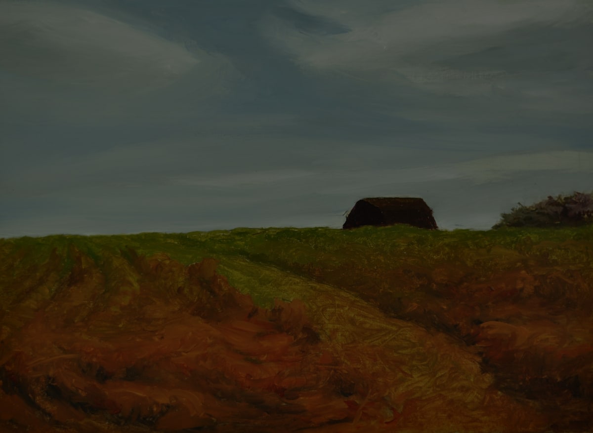 Wondering with Wonder by Rosie Brouse Fine Art 