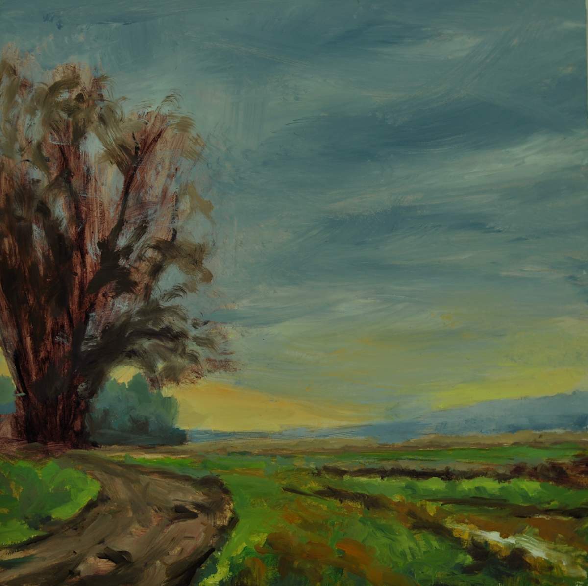 Hedlin's by Rosie Brouse Fine Art 