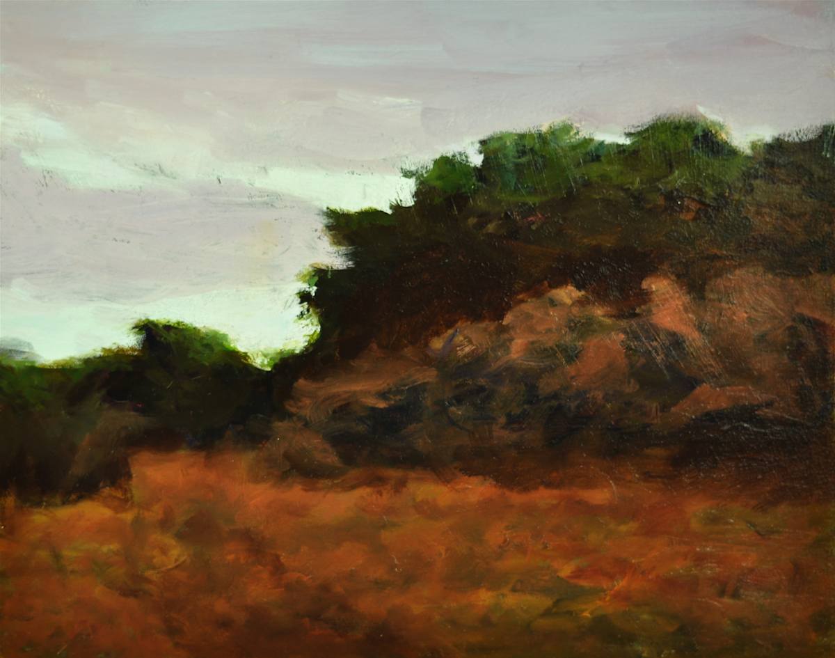Lopez Evening Meadow by Rosie Brouse Fine Art, Image 1.