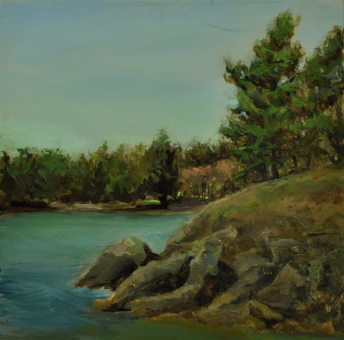 Doe Bay View Southwest by Rosie Brouse Fine Art 