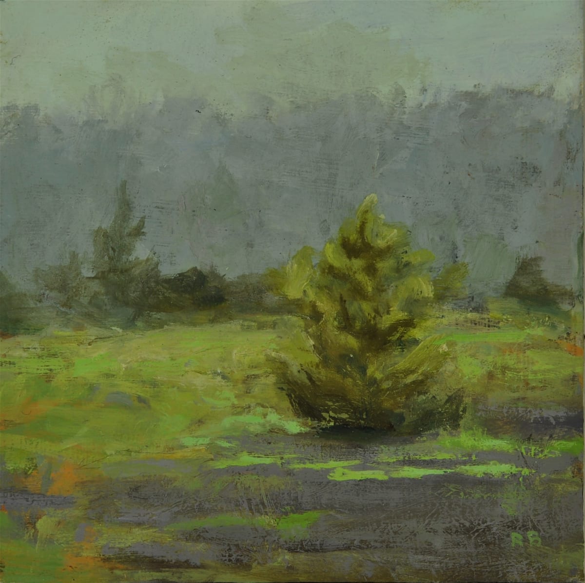 Duvall by Rosie Brouse Fine Art 