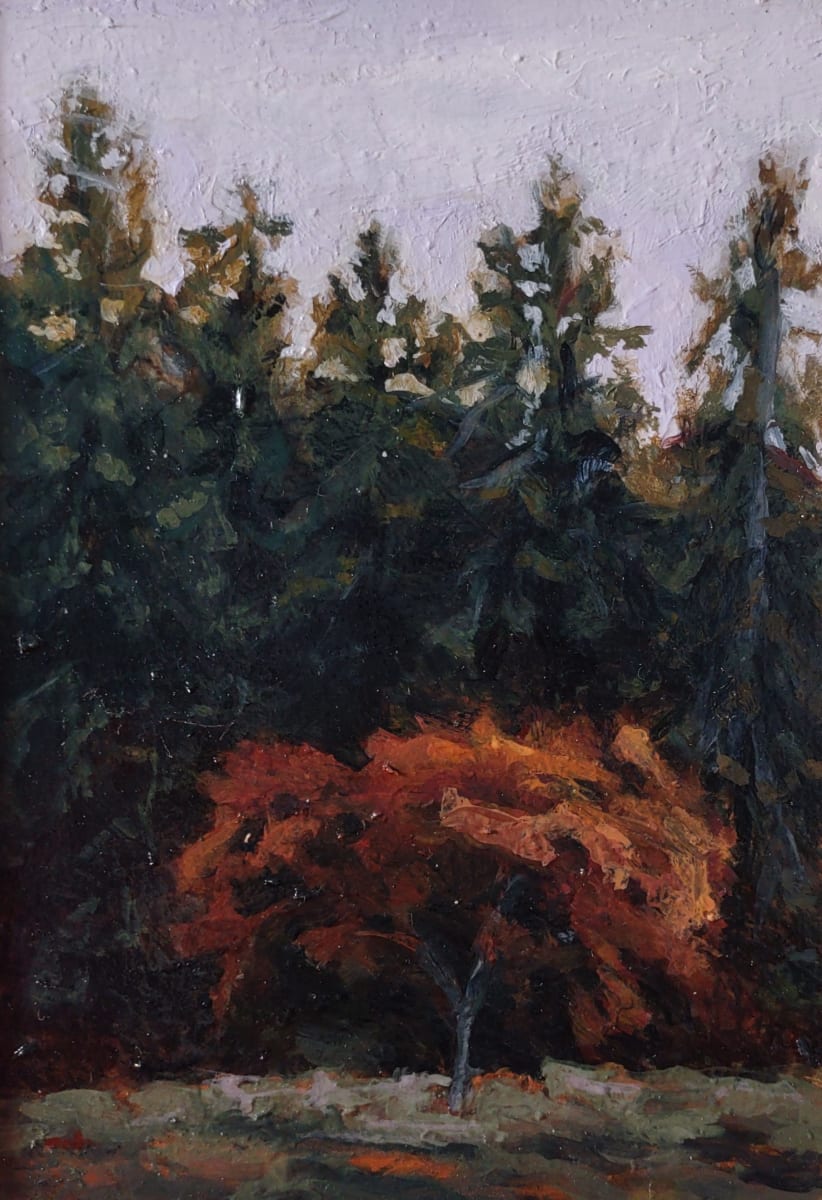 Seward Park Tree by Rosie Brouse Fine Art 