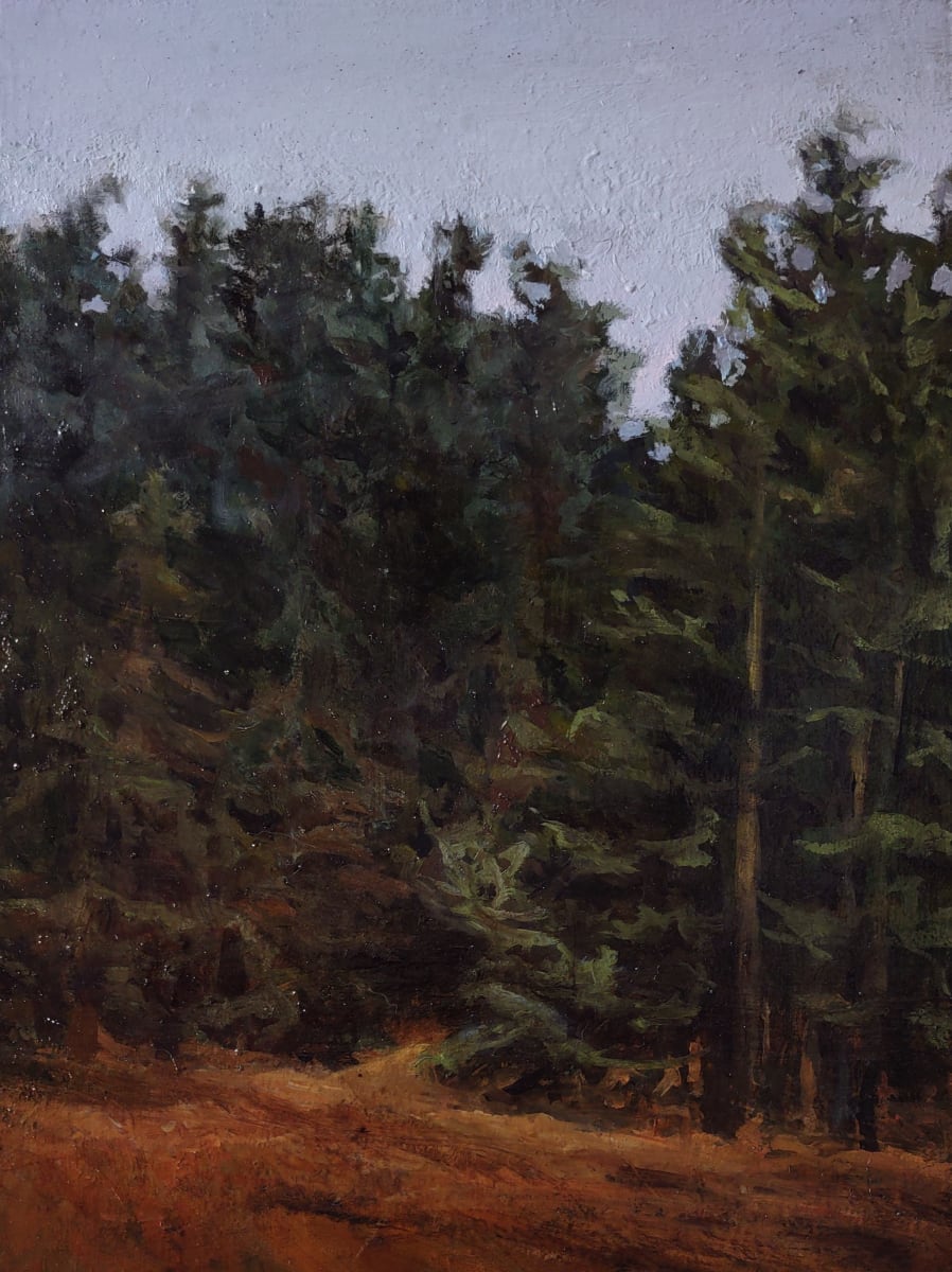Cousins Road Lopez by Rosie Brouse Fine Art 