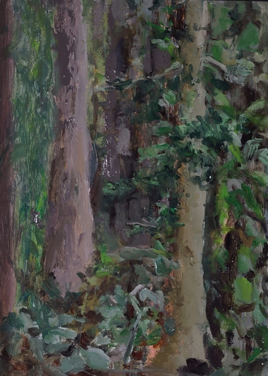 Rebecca's woods by Rosie Brouse Fine Art 