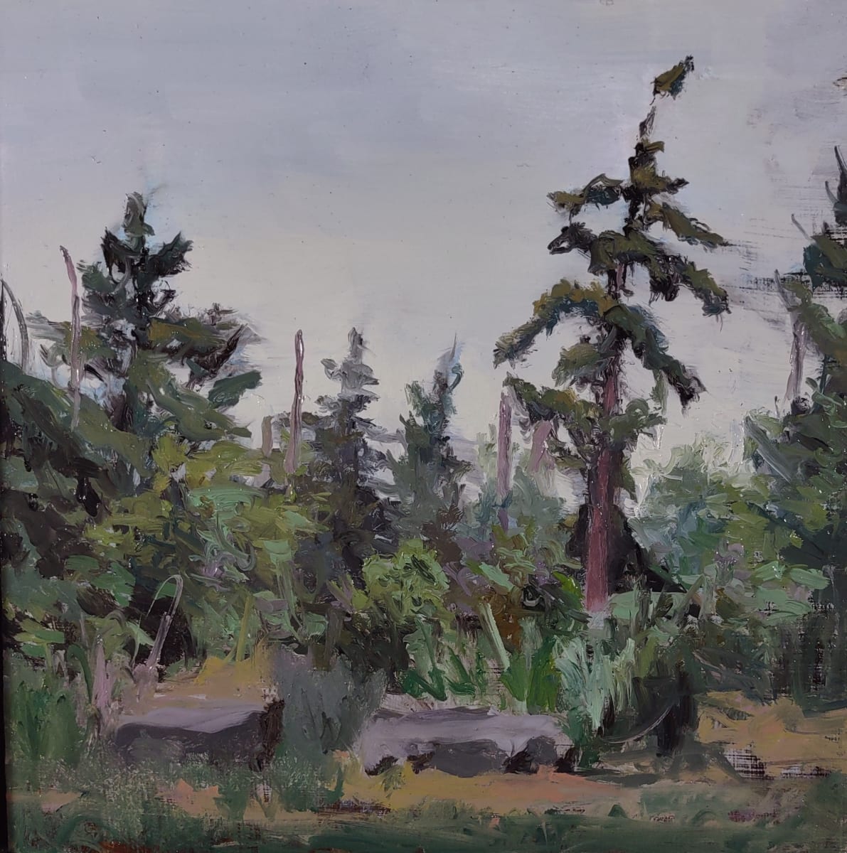 Caterpillar Forest by Rosie Brouse Fine Art 