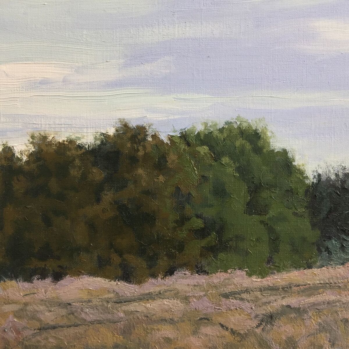 Lopez Hummel Lake Rd by Rosie Brouse Fine Art 