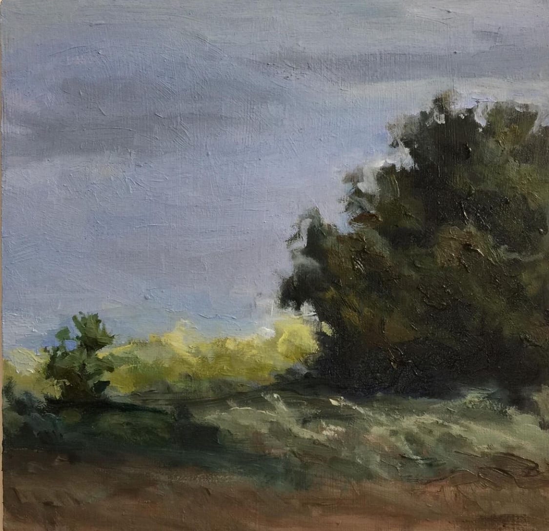 Mt View by Rosie Brouse Fine Art 