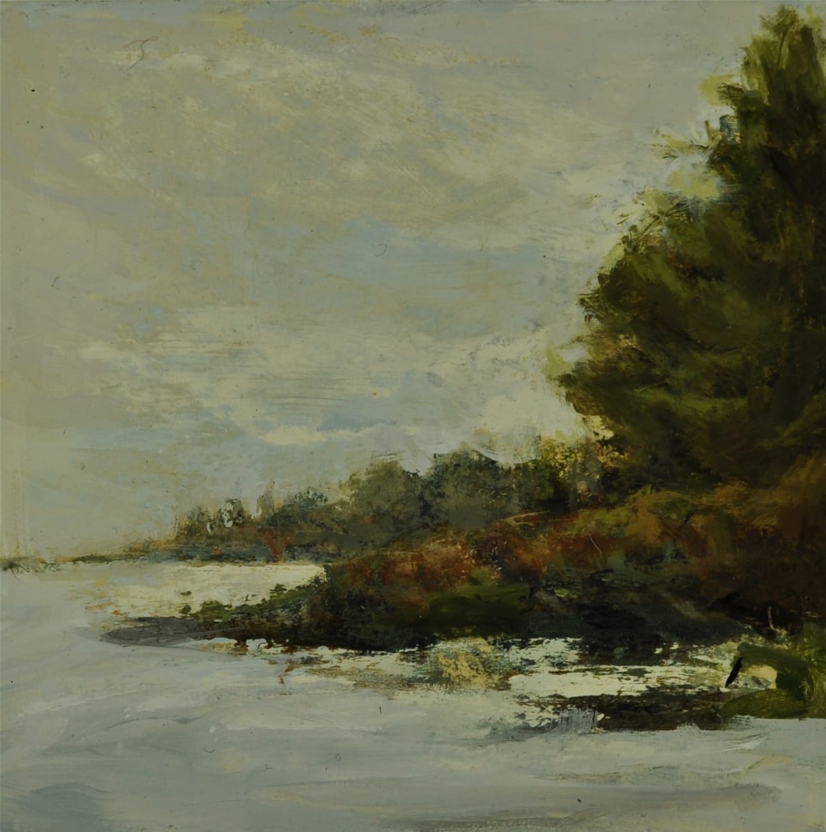 Tofino Bluff by Rosie Brouse Fine Art 