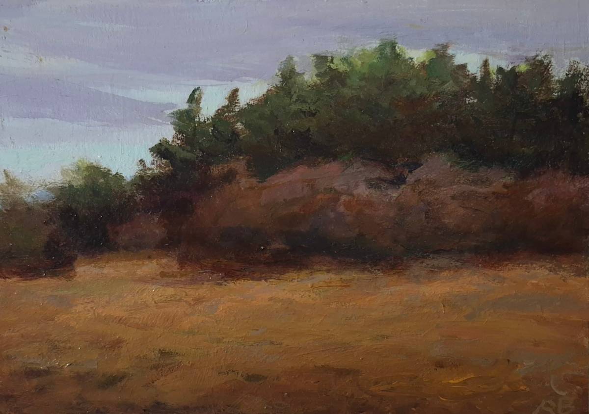 Lopez Sheep Meadow by Rosie Brouse Fine Art, Image 1.