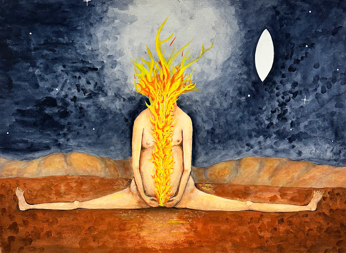 Surrender by Virginia Shepley 