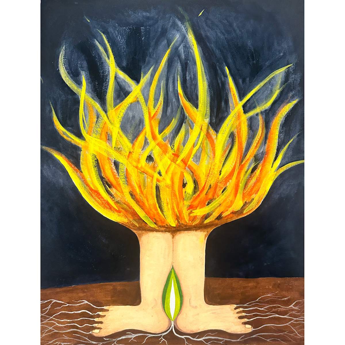 Transformation by Virginia Shepley 