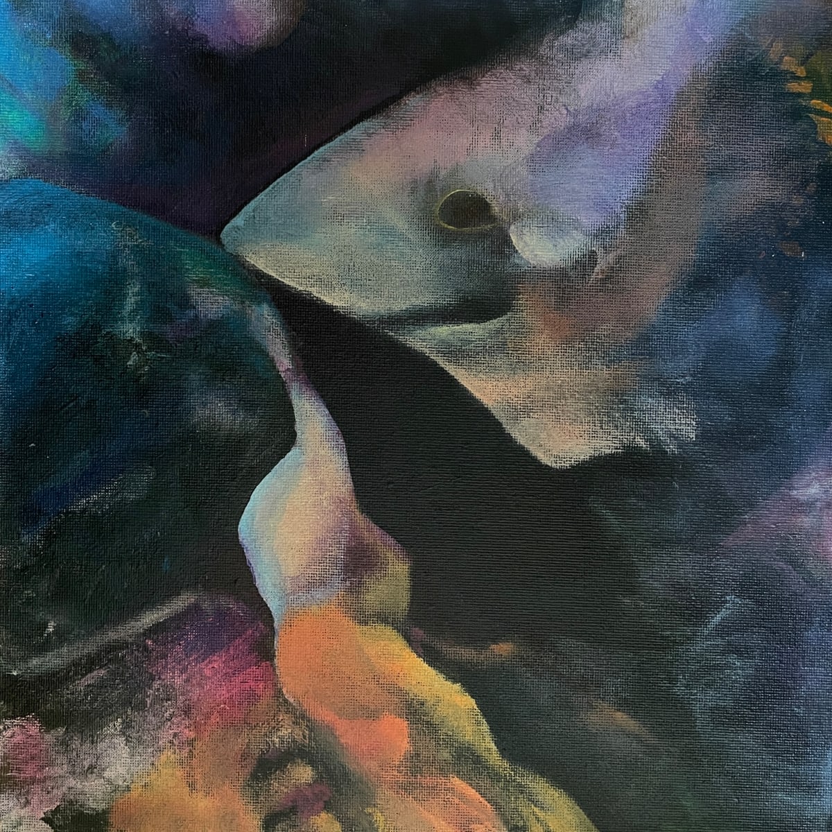Shark by Birgitt Luebkemann 