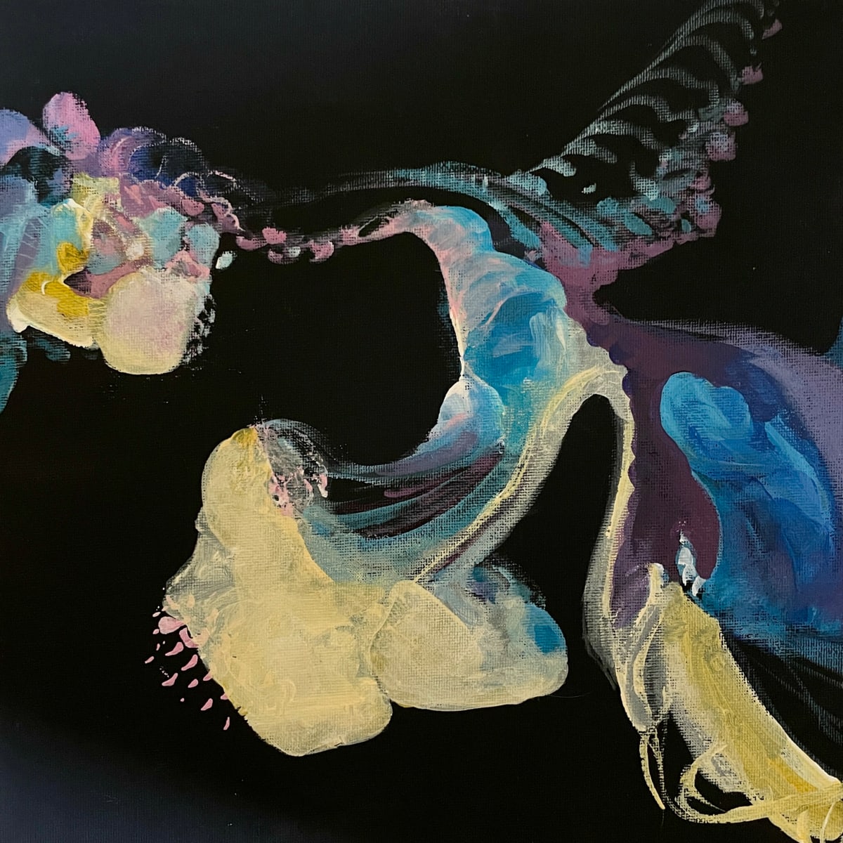 Honeybird by Birgitt Luebkemann 