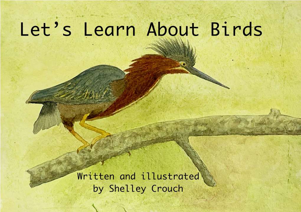 Let's Learn About Birds by Shelley Crouch 