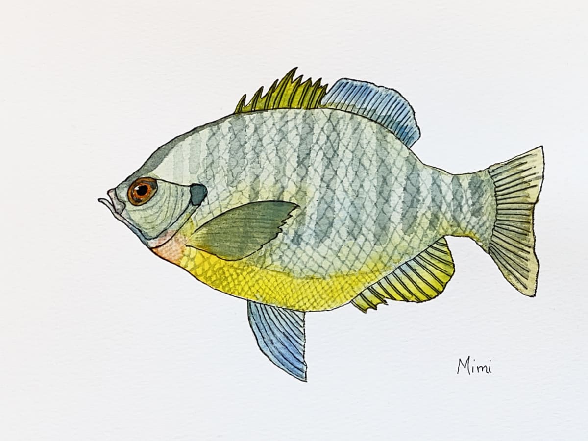 A Fish Out of Water (Bluegill) by Shelley Crouch 