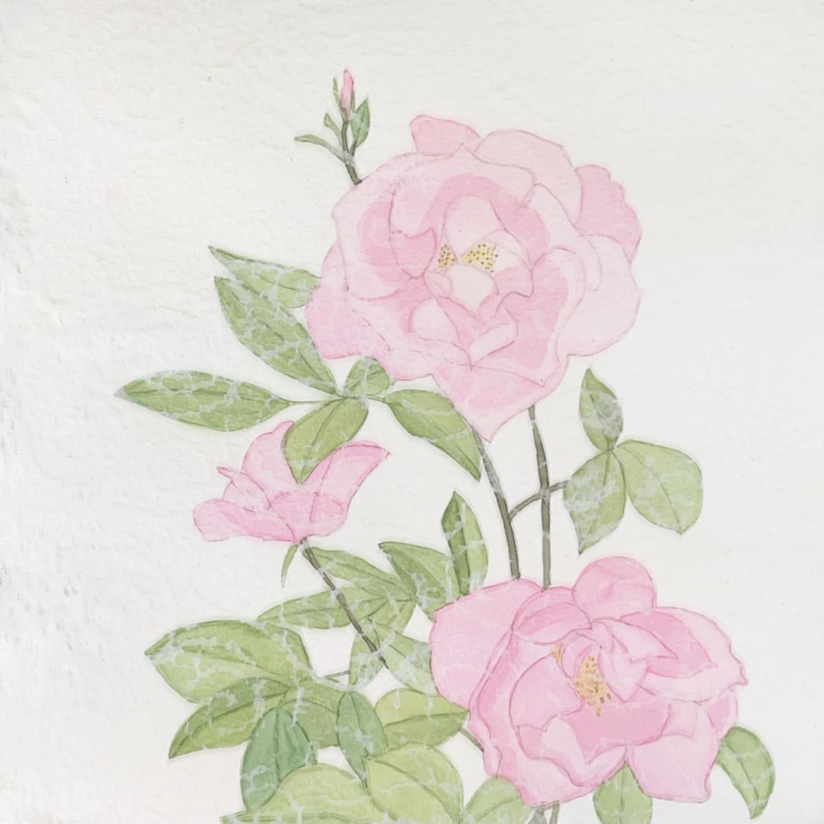 Femininity and Grace by Shelley Crouch 
