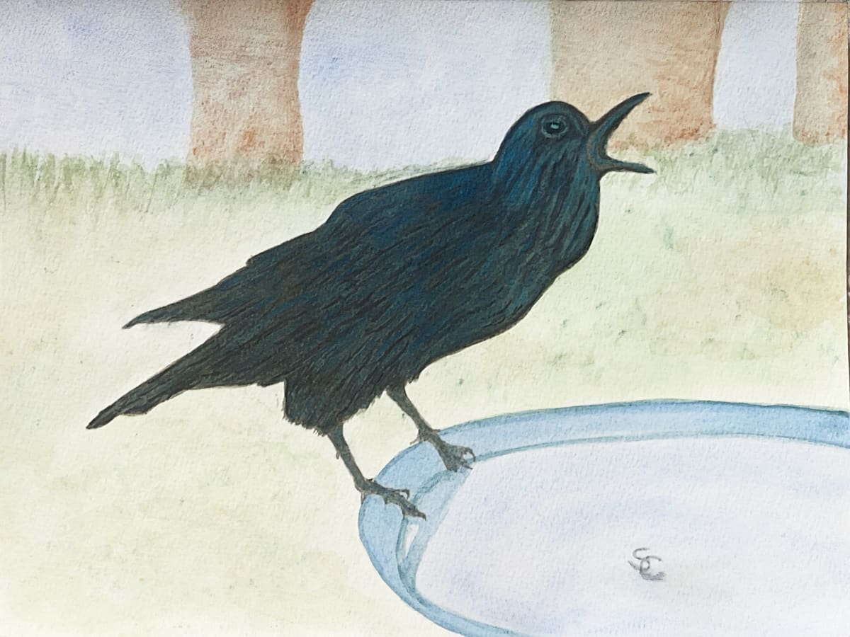 Bath Time (American Crow) by Shelley Crouch 