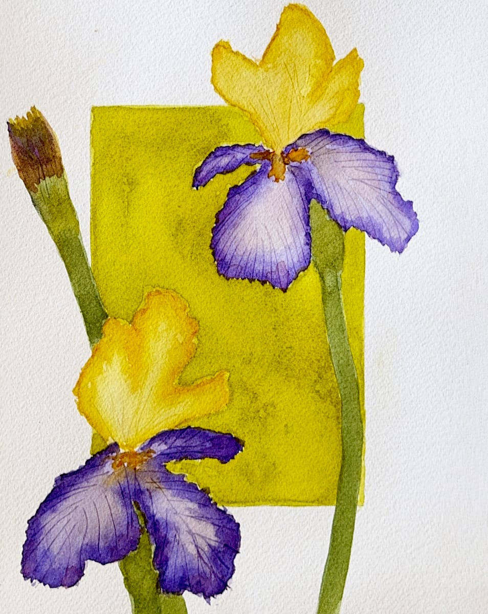 Box of Iris by Shelley Crouch 