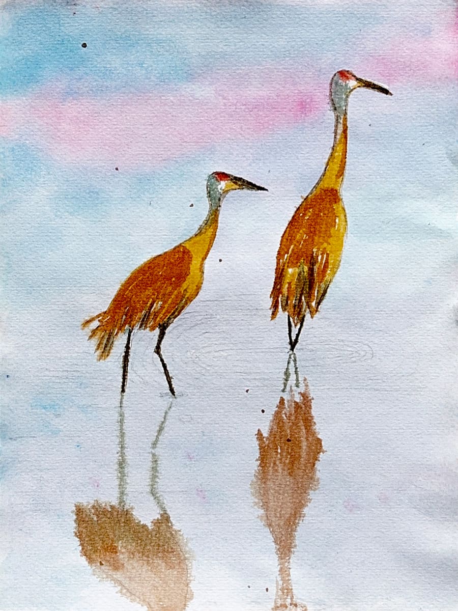 Sandhill Reflections by Shelley Crouch 