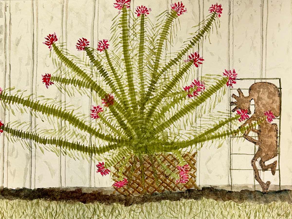 Kokopelli and the Dance of the Spider Flower by Shelley Crouch 