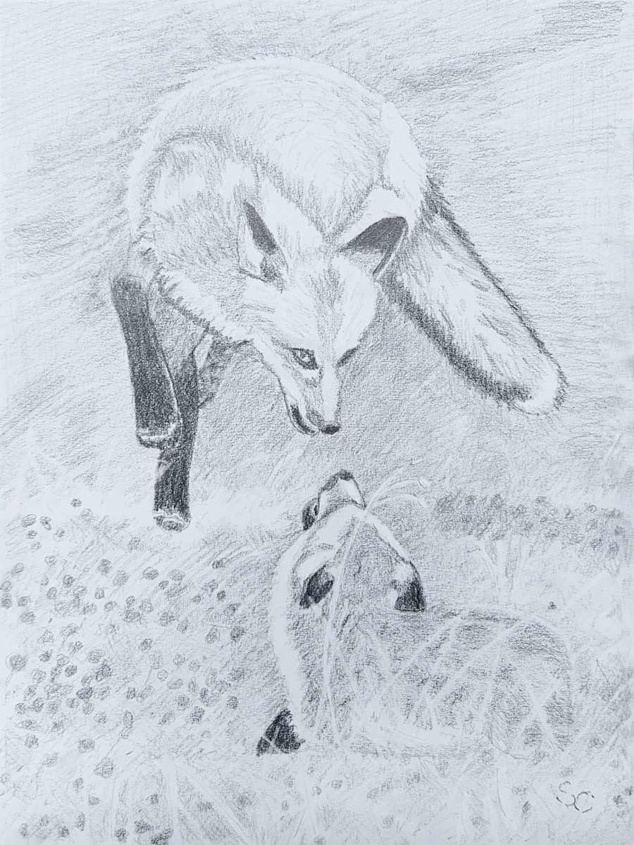 Fantastic Mr. Fox by Shelley Crouch 