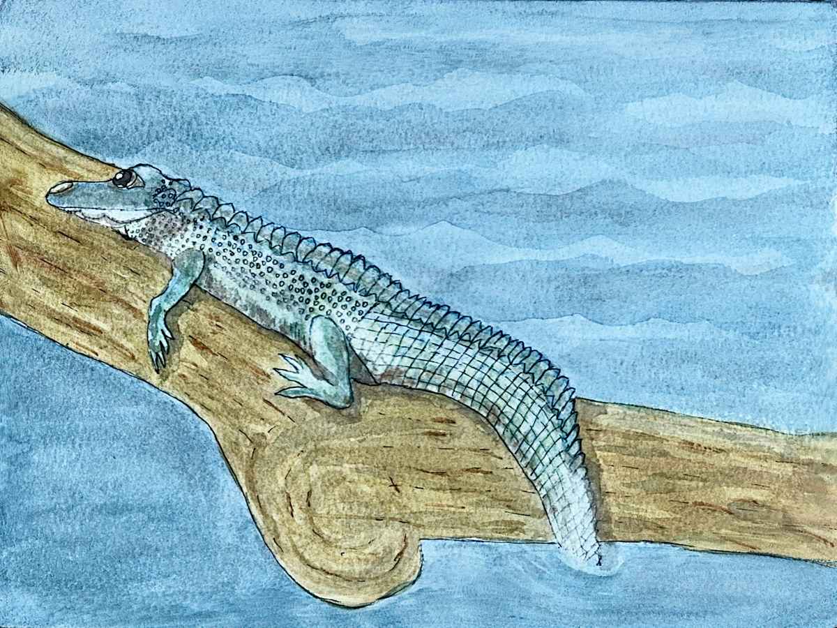 Guardian of the Swamp by Shelley Crouch 